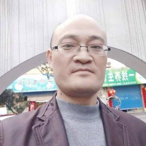 老茶树刚刚 头像