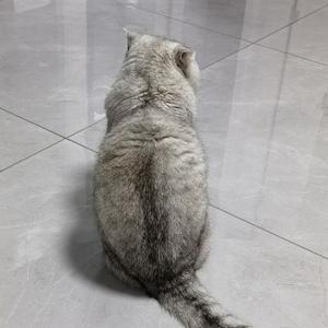 穿白大褂的乞丐 头像