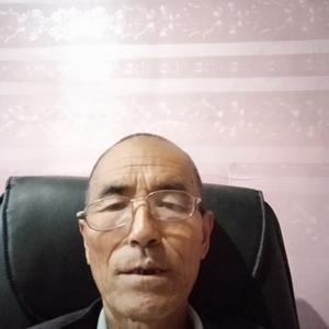 大山里的作家