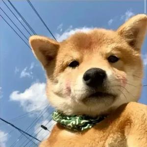 大脸小胡子 头像