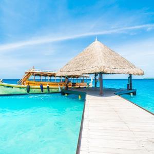 快乐悠然的海风 头像