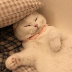 小莉呀 头像