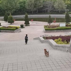 苏8在路上 头像