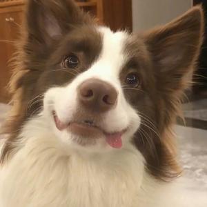 奇奇怪怪事务所 头像