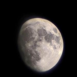 博学的圆月 头像