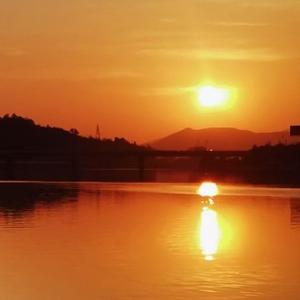 上元之夜115 头像