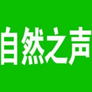 自然之声耳听美 头像
