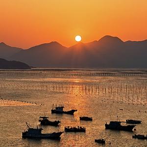 青云助理 头像