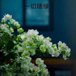 容山大地