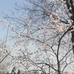 那木斯莱123