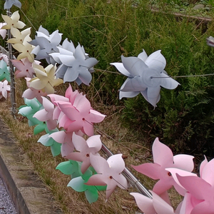 进取帆船zUM 头像