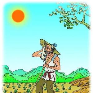地地道道的农民 头像
