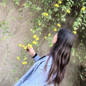 沐丰 头像