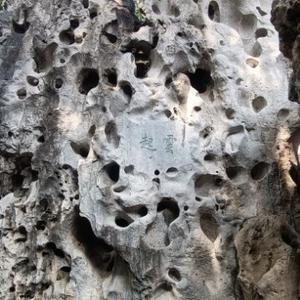 浅执泮离兮 头像