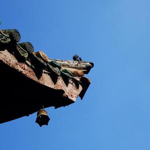 人间修行者知阳 头像