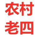 老四聊农村 头像