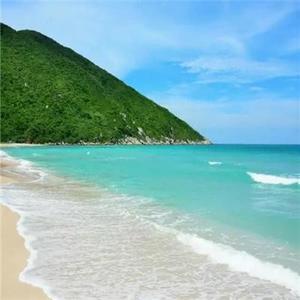 好奇北海揭西 头像