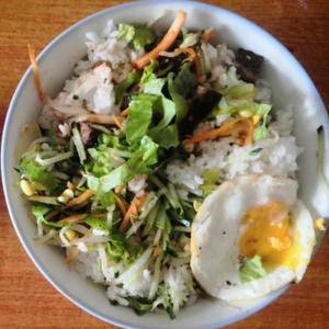 风度翩翩的高冷饭团