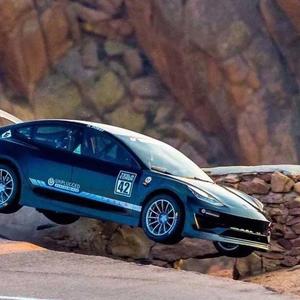 大型电鸡俱乐部 头像