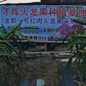 才辉火龙果种植基地头像