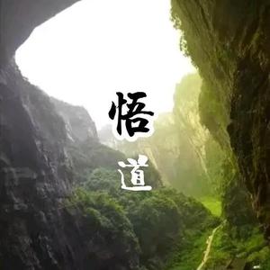 雾丽虹头像