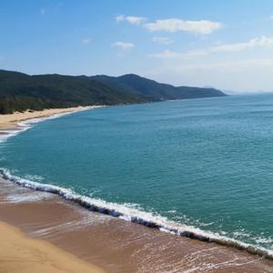 有趣的柳叶na 头像