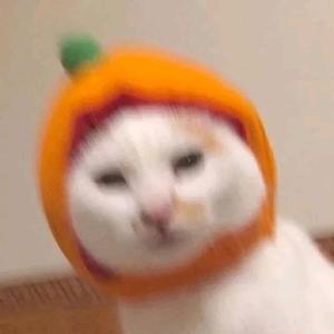 小欣爱分享n 头像