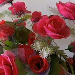 乐乐情感故事 头像