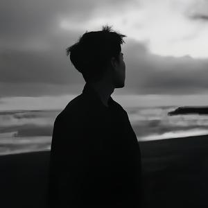 洋洋数码外设 头像
