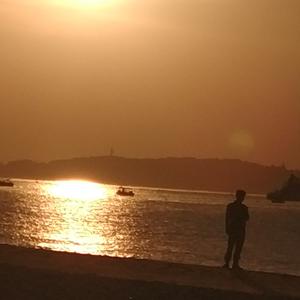 第三种选择 头像