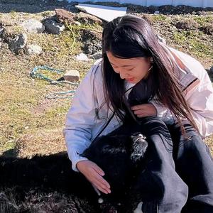 喜欢跳舞的鹅鹅 头像