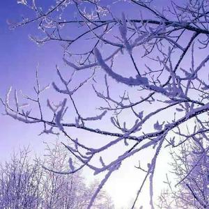 宇宙奥秘的发现者 头像