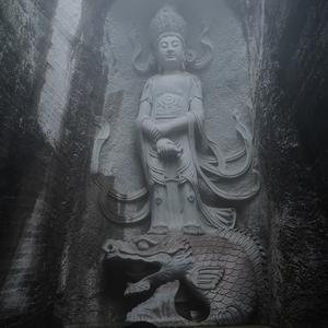 灵感贩卖馆 头像