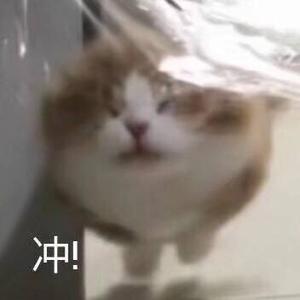 利世zZ 头像