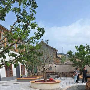 佳和.一城一院 头像