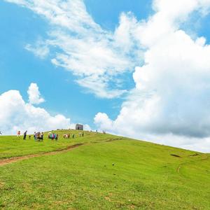 世事知每日一笑 头像