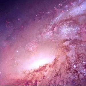 钵钵猫看世界 头像