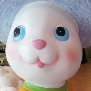 聪明的豆浆Zz