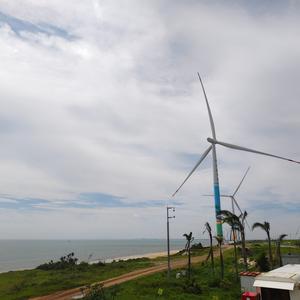 蒲公英不再向往 头像