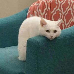 阿歪鱼说居 头像