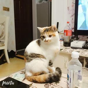 满意要开心 头像