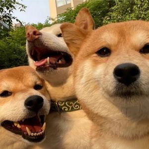 tudou生活日记