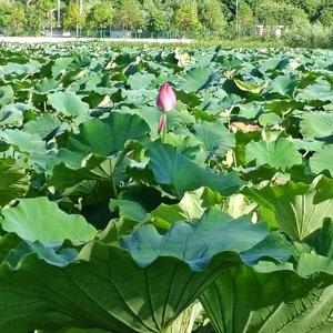 娱乐杂谈三两事 头像