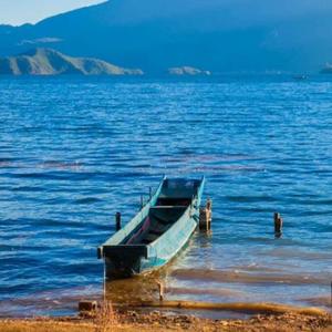 没有想到啥名字 头像