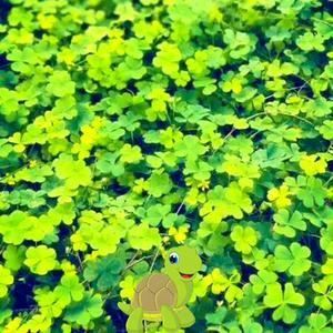 牛宝的妈妈 头像