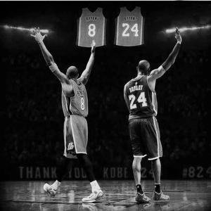 篮坛每一天 头像