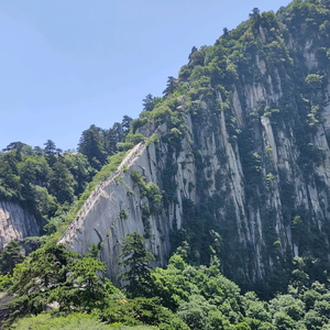 火车线路图制作发布 头像