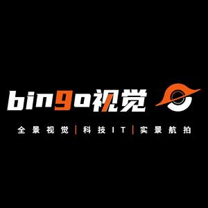 bingo视觉头像