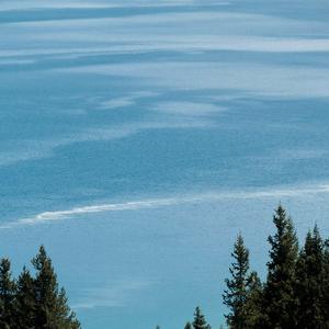 进取梦想家lucky 头像