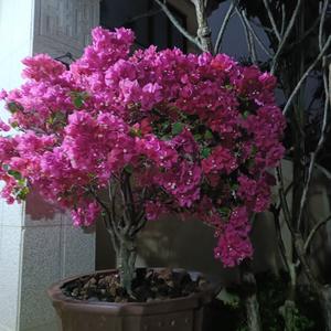 费用的发挥好 头像